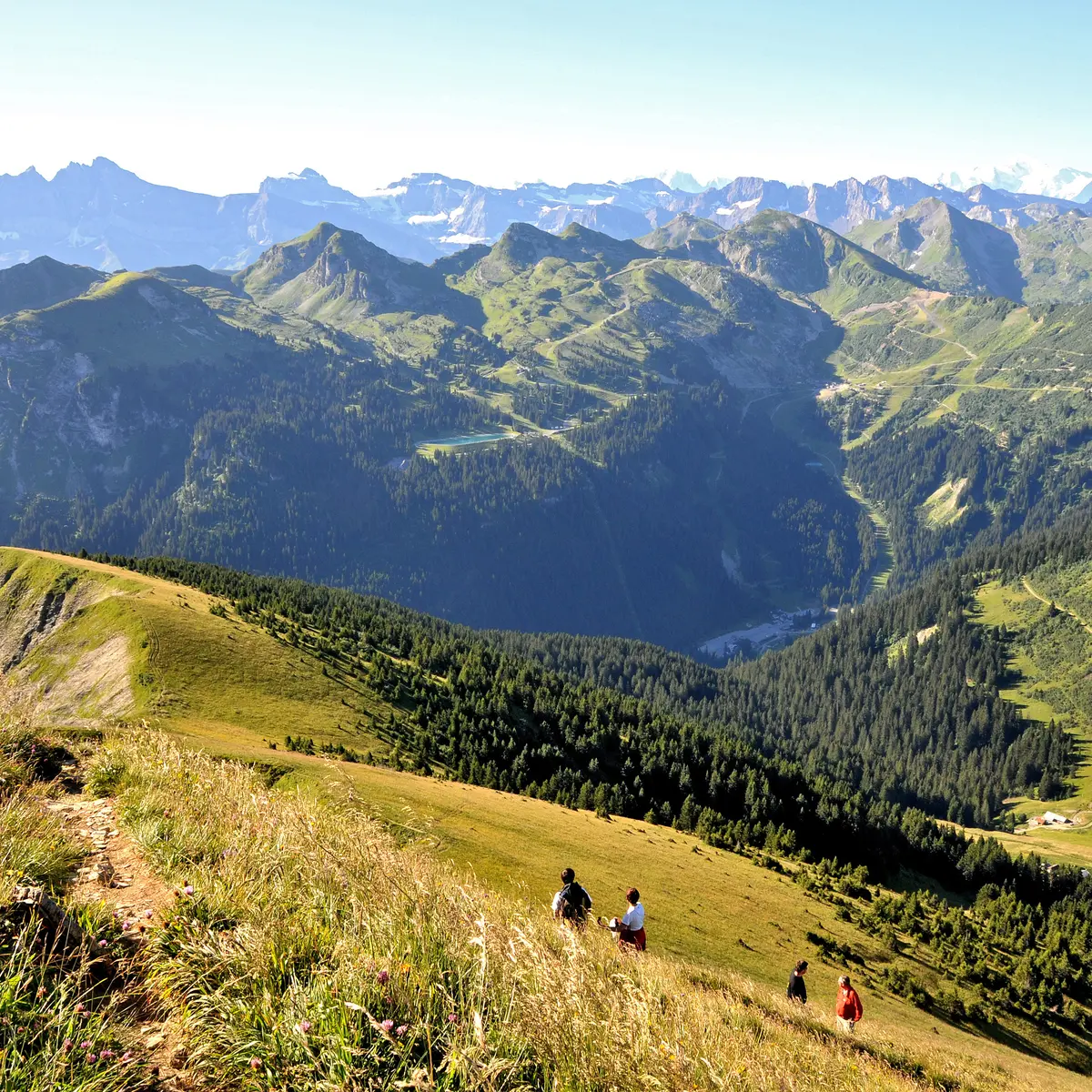 Montée sur la crête de Coincon