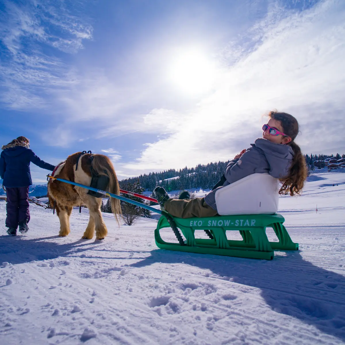 Poney Luge les Saisies