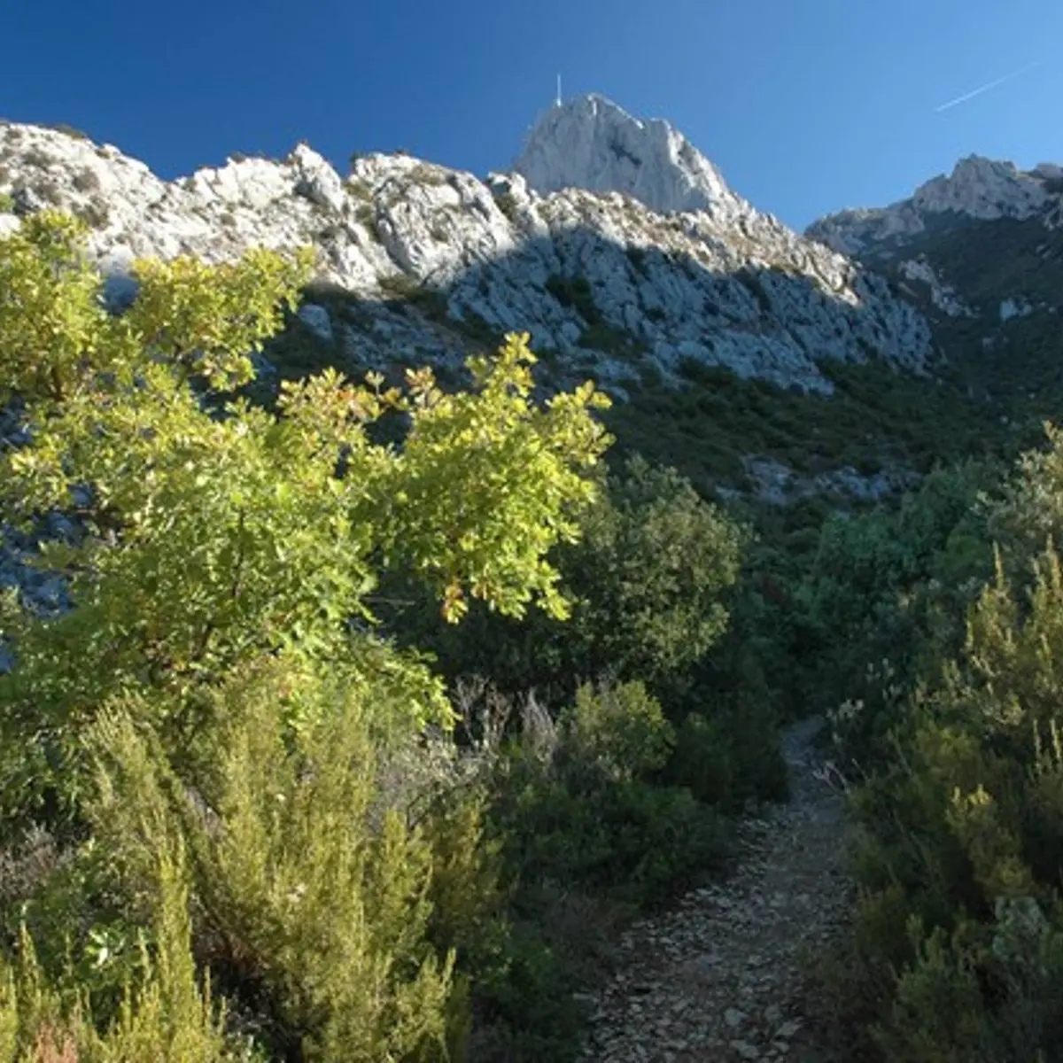 La vue sur le pic de Bertagne le long du parcours