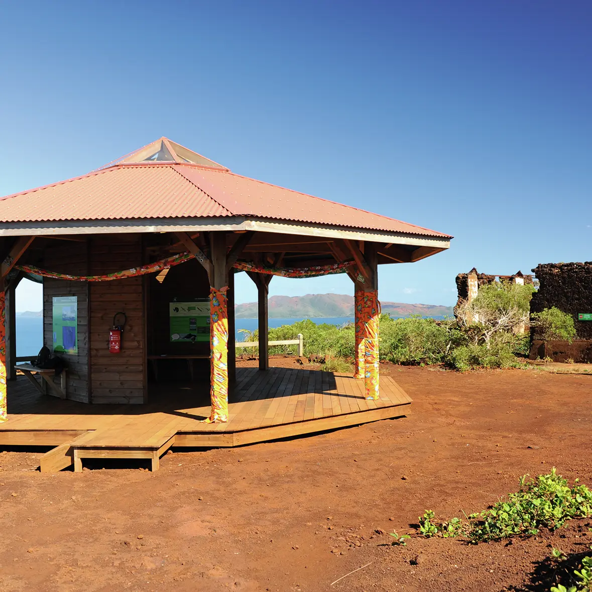 Observatoire baleines