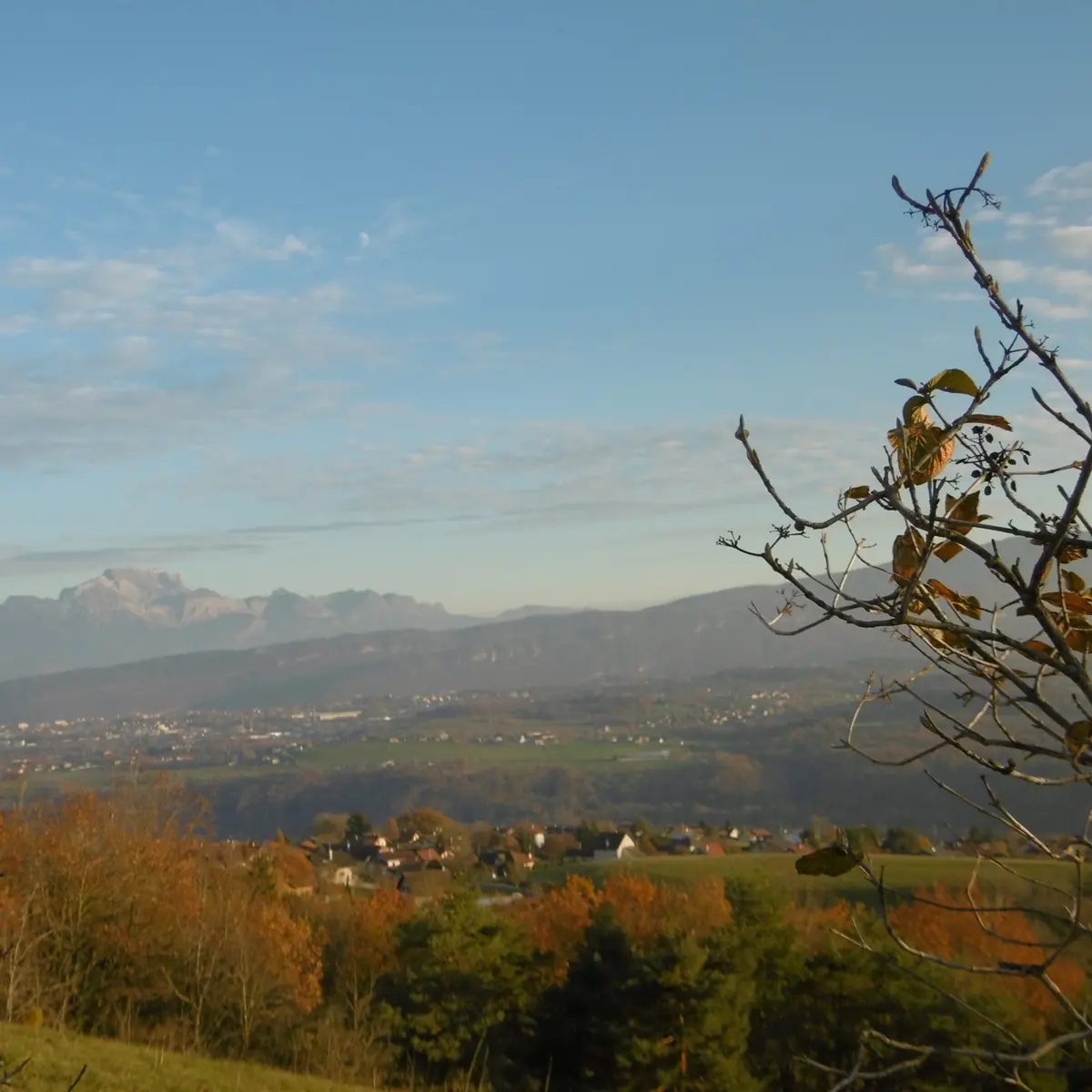 Point de vue Les Conclus