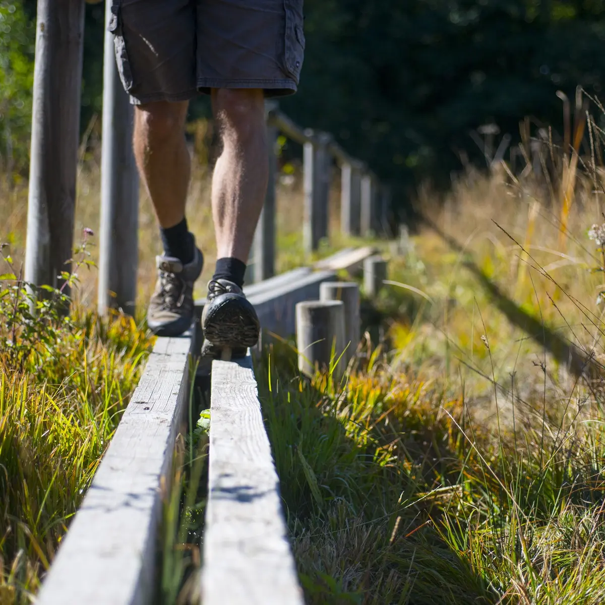 Sentier sur pilotis du géosite du marais du Maravant
