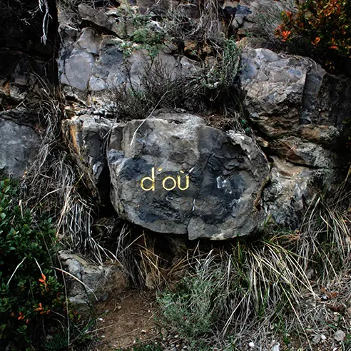 herman de vries, quoi, pourquoi, d’où, vers où, 2004, Collection musée