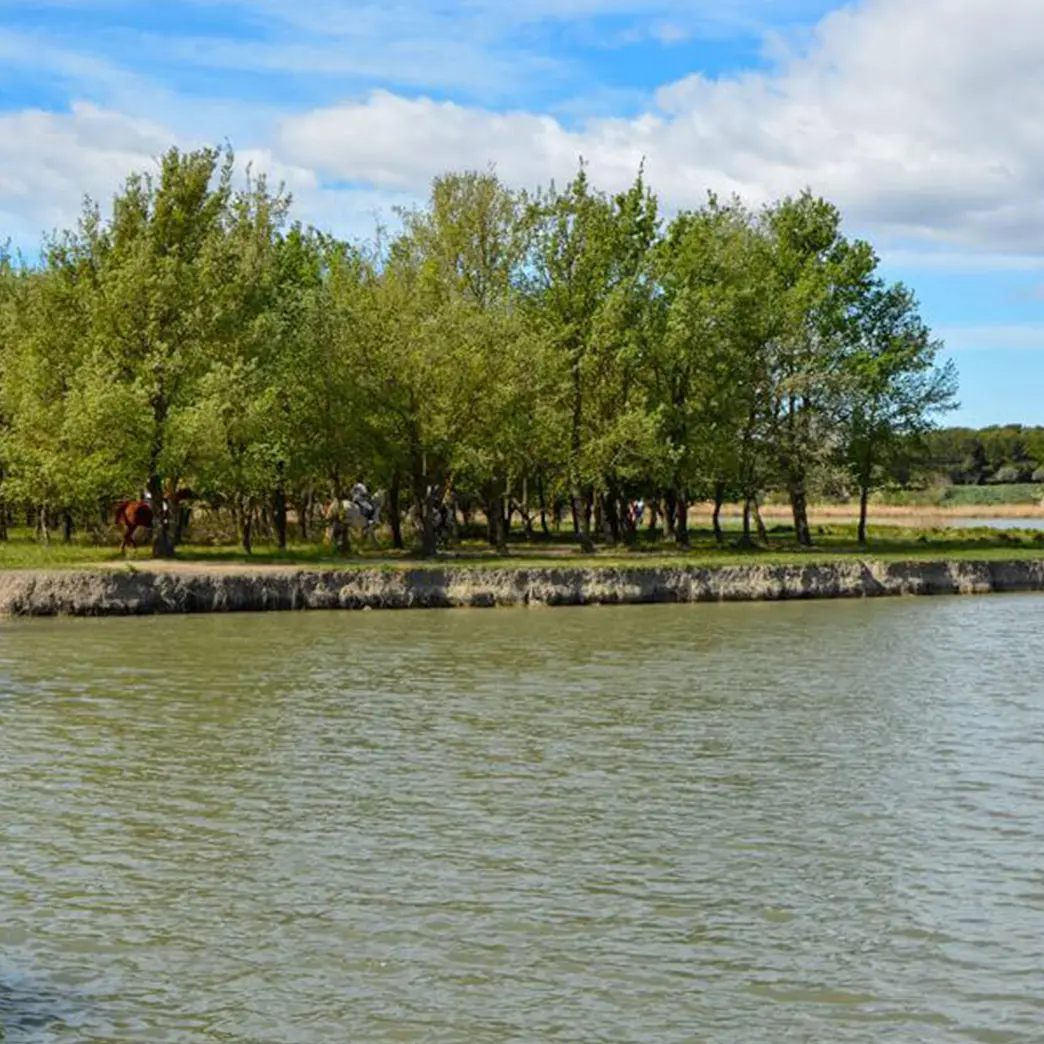 Lac du Barreau_Saint-Rémy-de-Provence