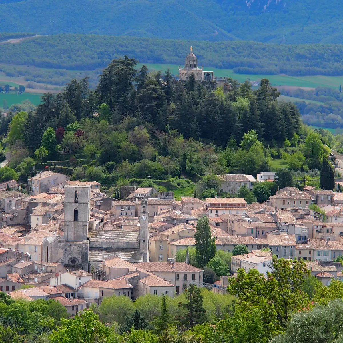 Vue générale de Forcalquier et sa citadelle