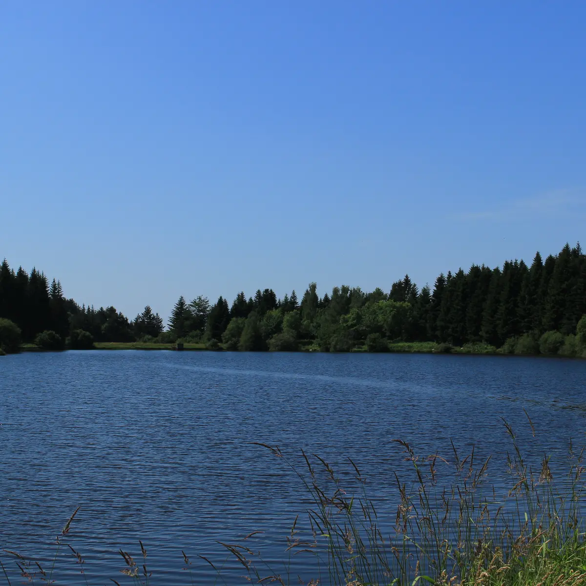 plan d'eau Merle Leignec