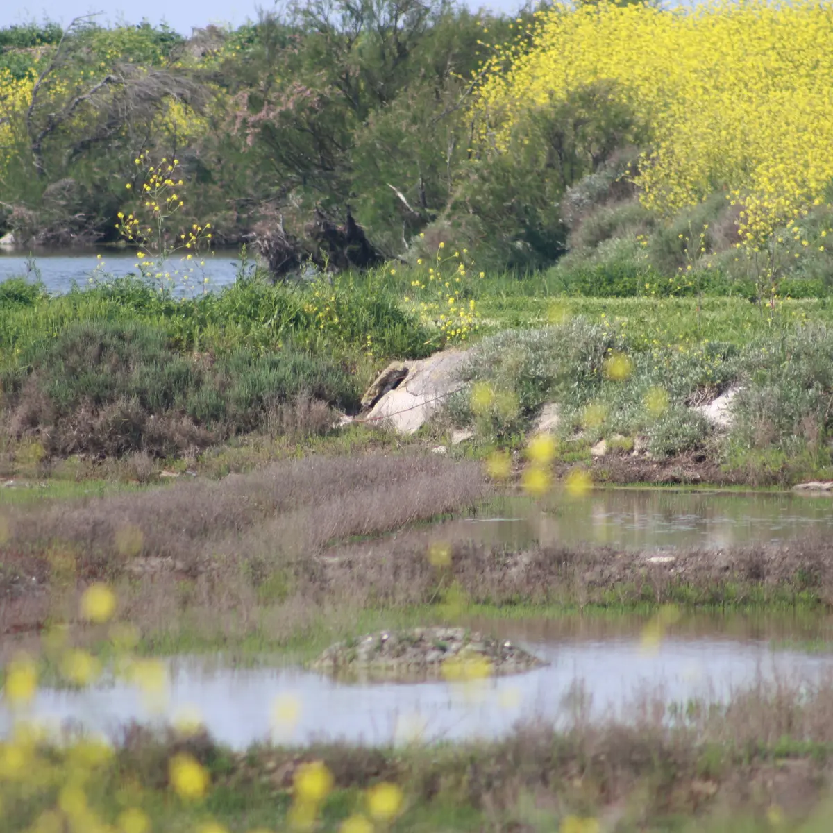 LES BALADES CONTEE DE MARIE-ANGE