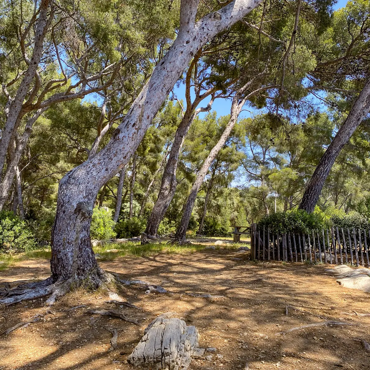 Espace Victorin Blanc