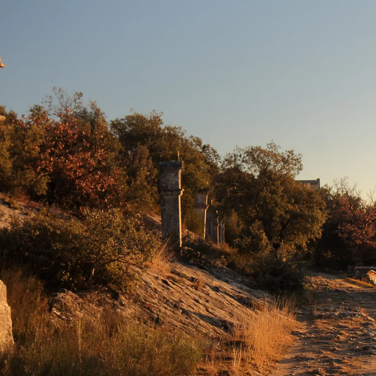 Promenade des évêques - Lurs