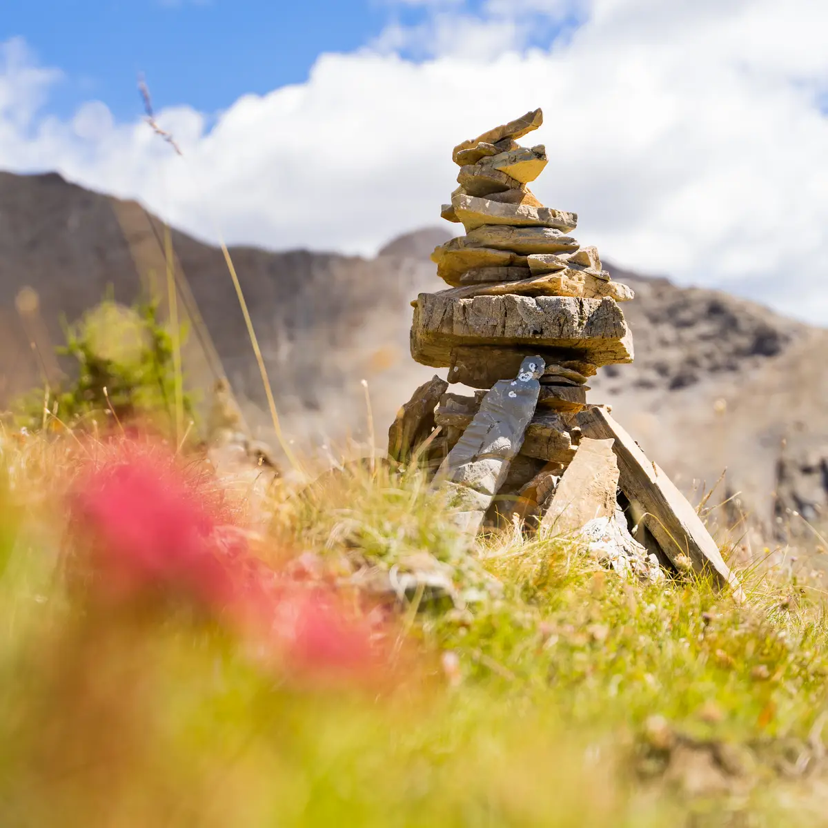 Côl de l'âne, Côte Ronde et Pic Silhourais_Les Orres