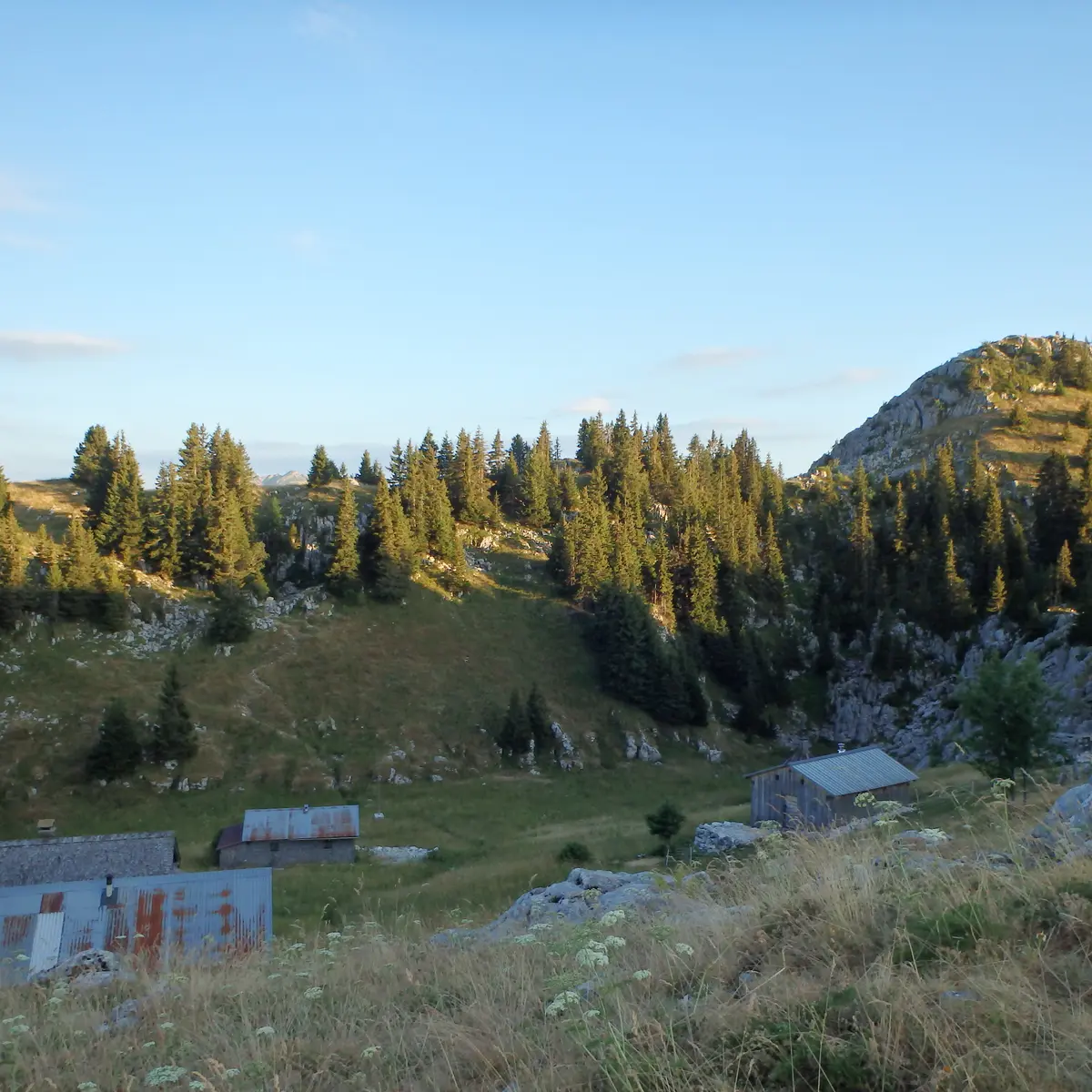 Nifflon d'En Haut