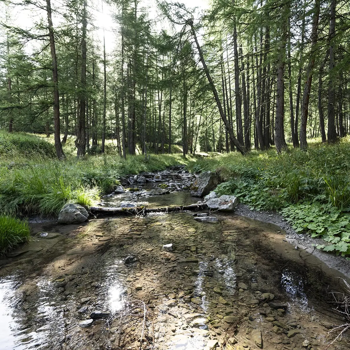 Tour de la Pierre Eclatée