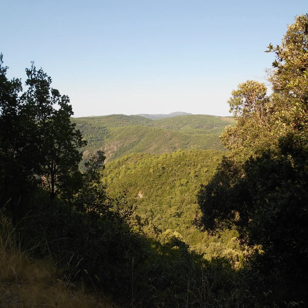 Le Massif des Maures