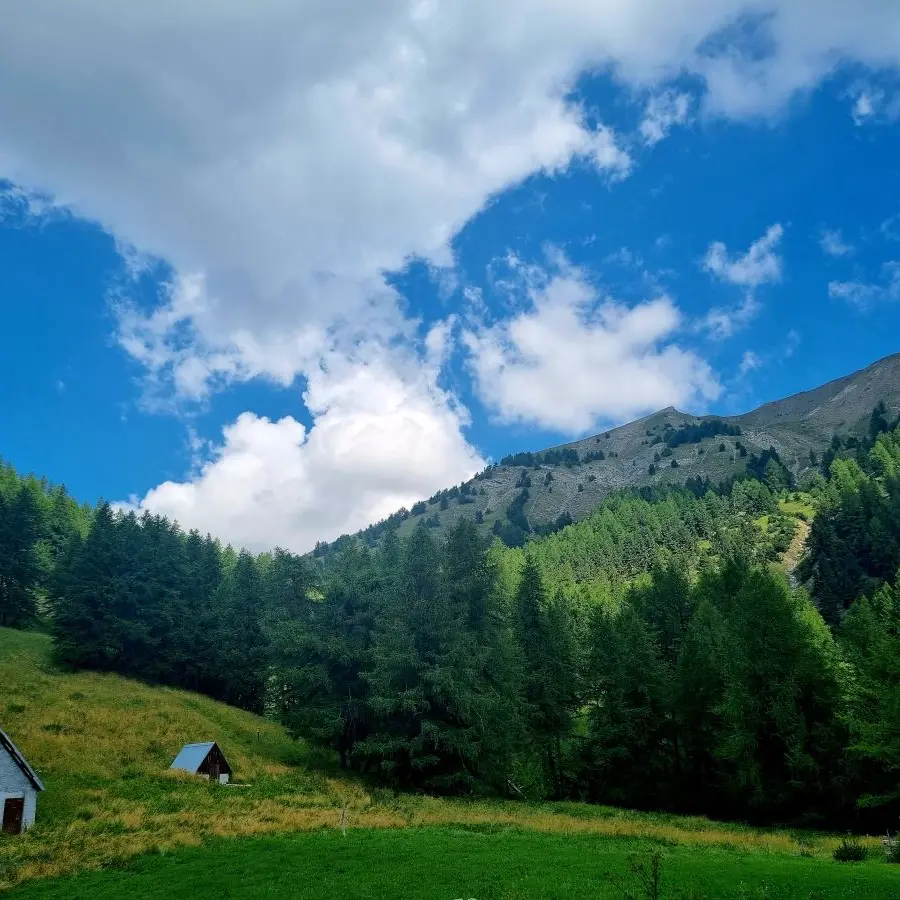 Trail : Cabanes de Talon - Prénier_Allos
