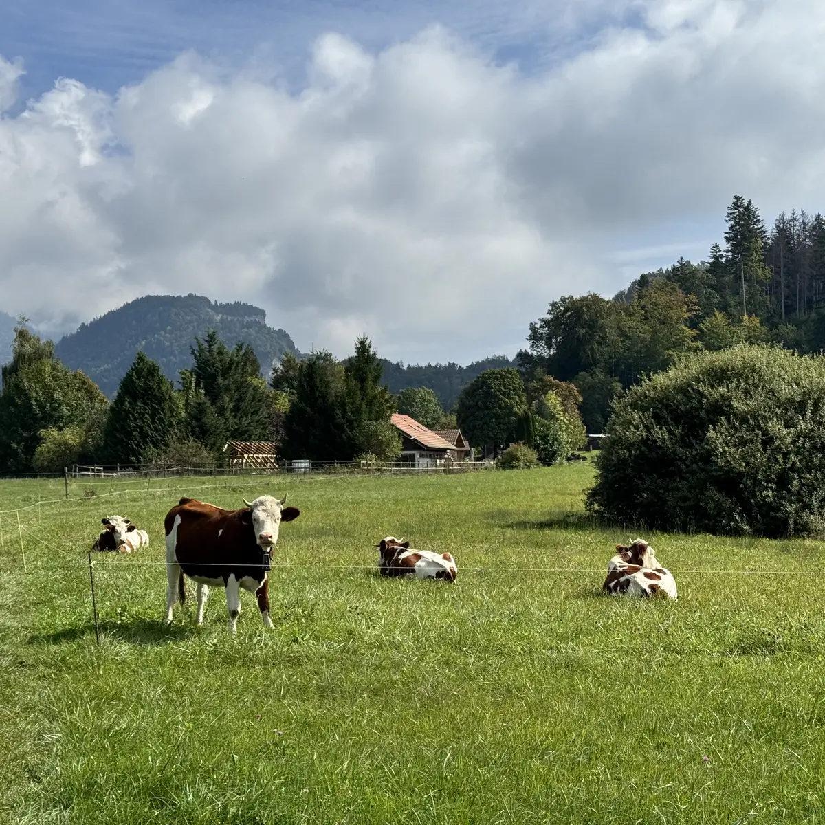 Sentier des grands prés