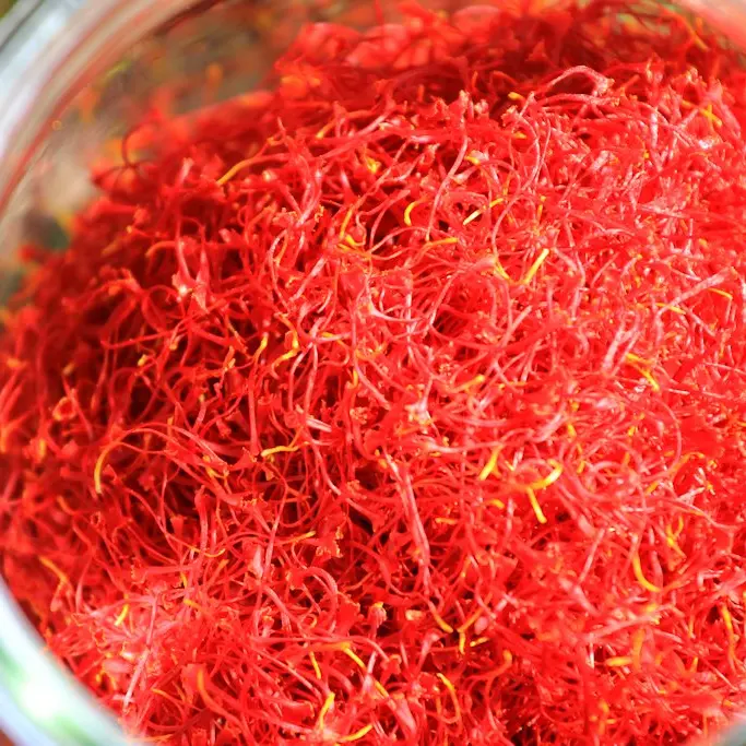 Alain Hocquel - Collect. ADT