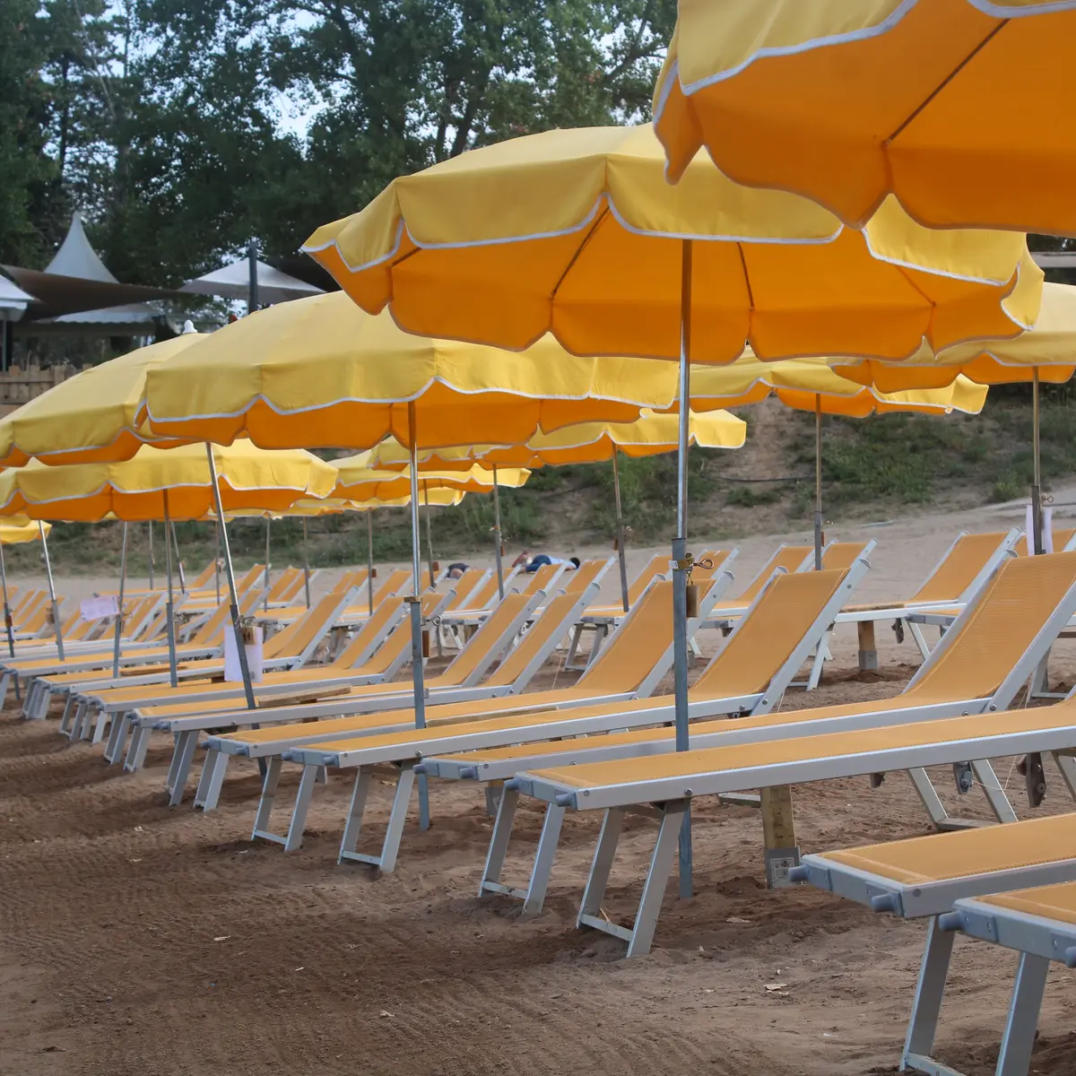 Plage aménagée