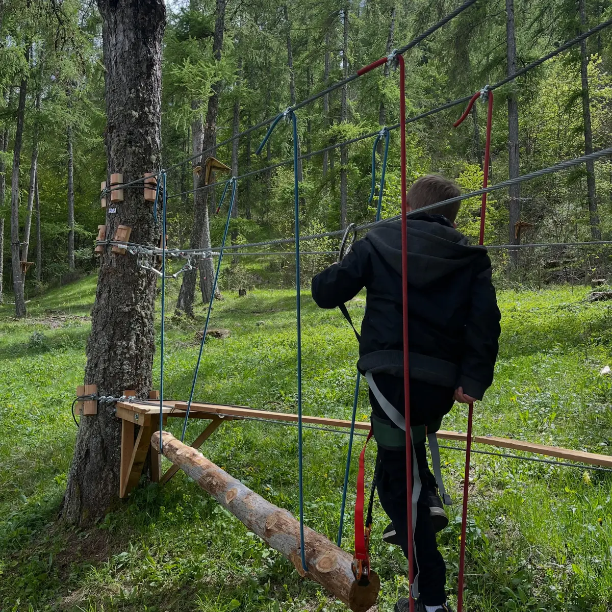 Réallon Aventure - Parcours acrobatique en forêt