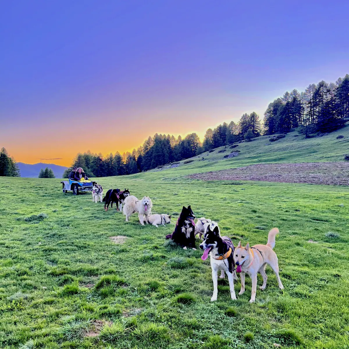 Balade en Cani-kart