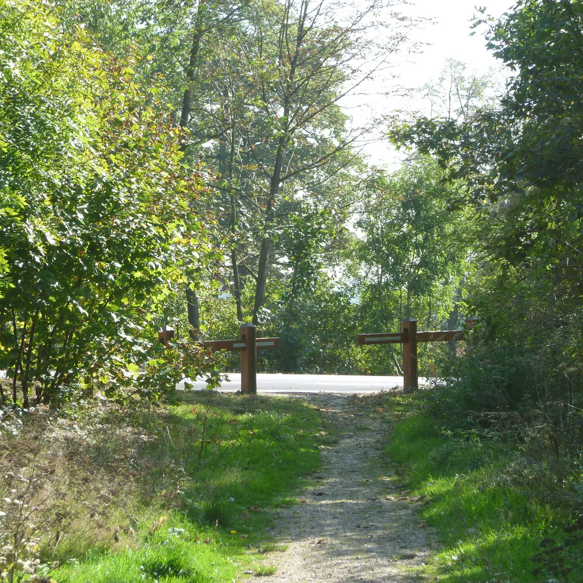 Randonnée en forêt de Marly