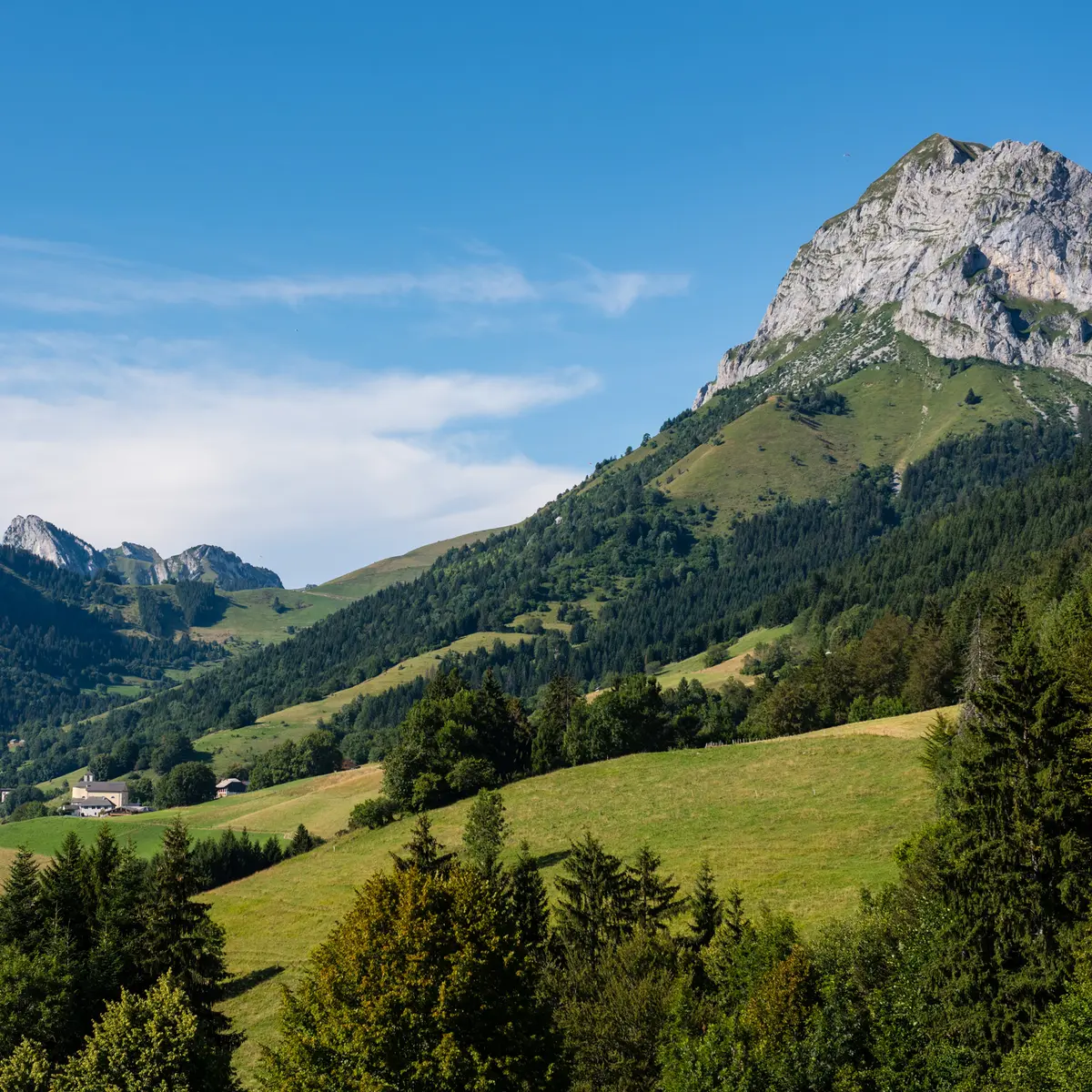 paysage d'été