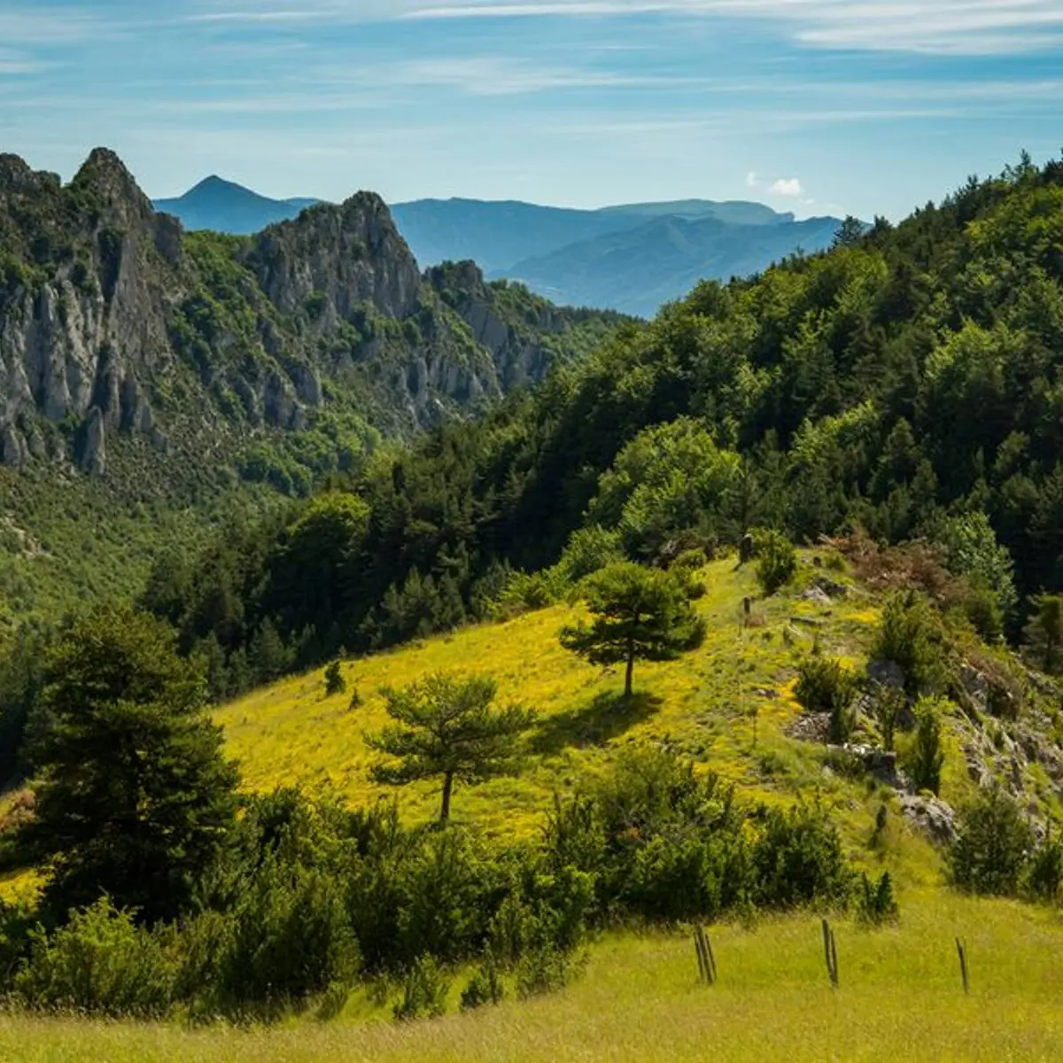 Point de vue verdoyant du Serrois