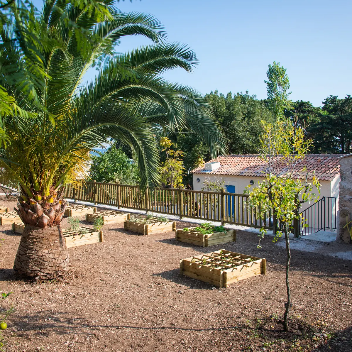 Jardin des douaniers