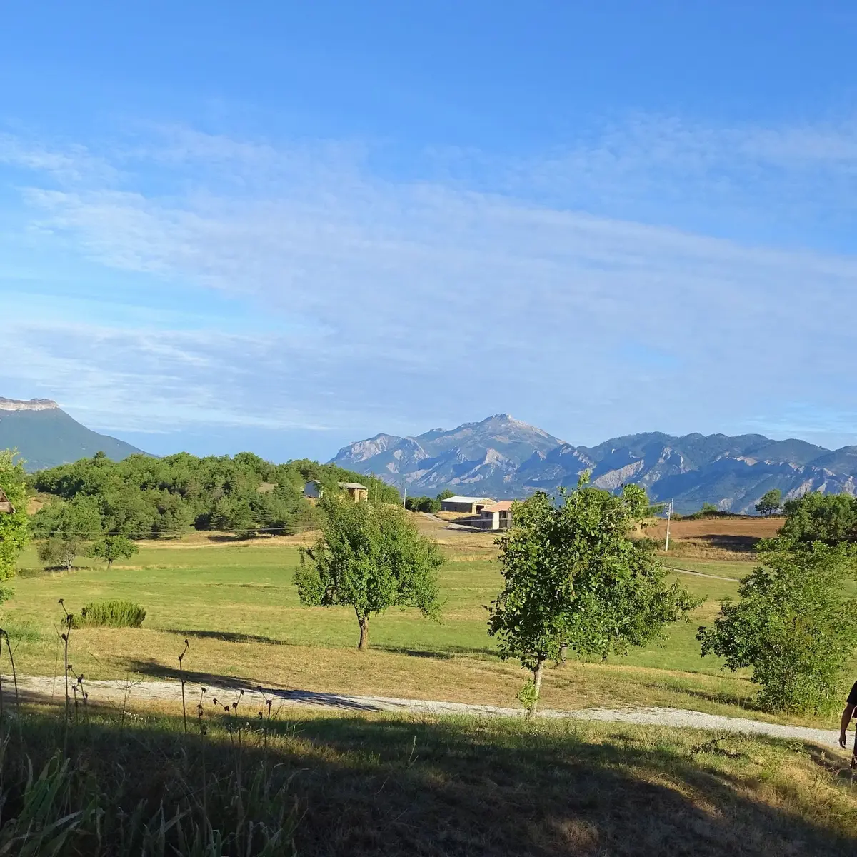 Paisible chemin à travers champs