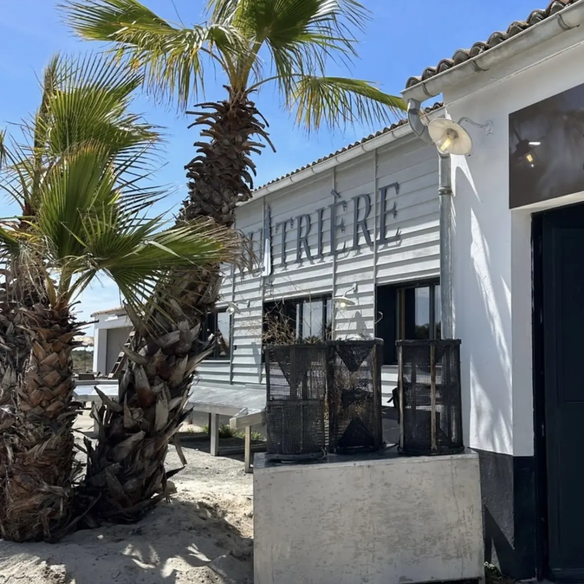 Palmiers de L'Huitrière