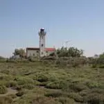 Etang du Tampan - phare de la Gacholle