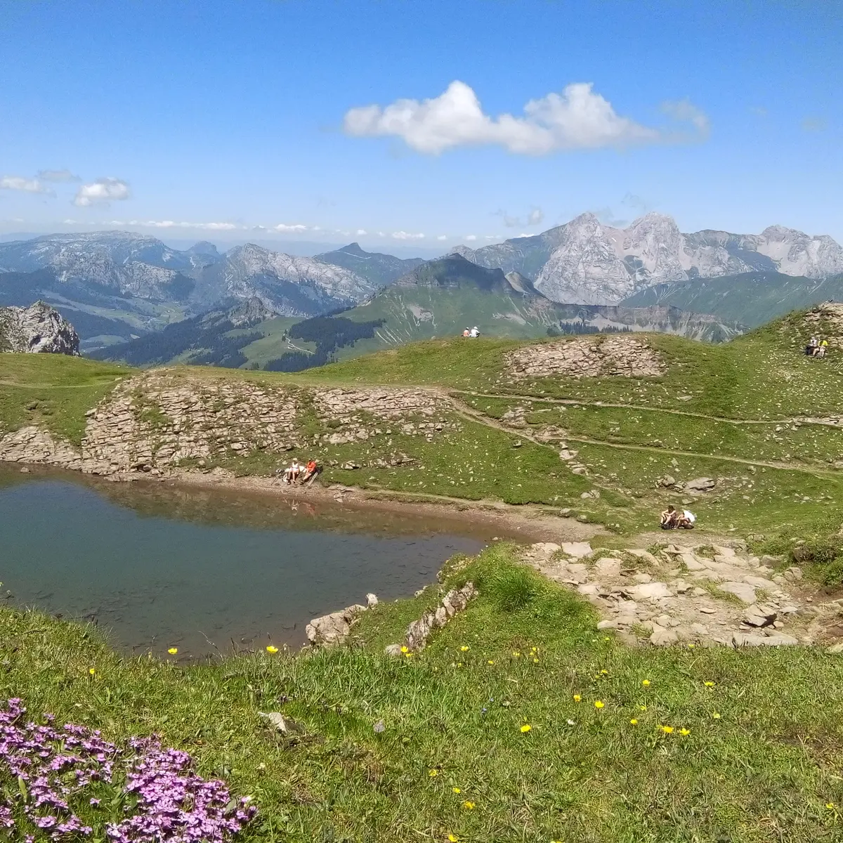 Combe de Tardevant