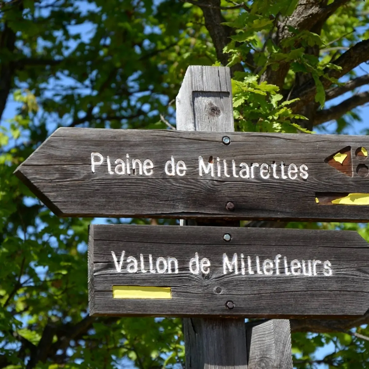 Suivre le bon chemin