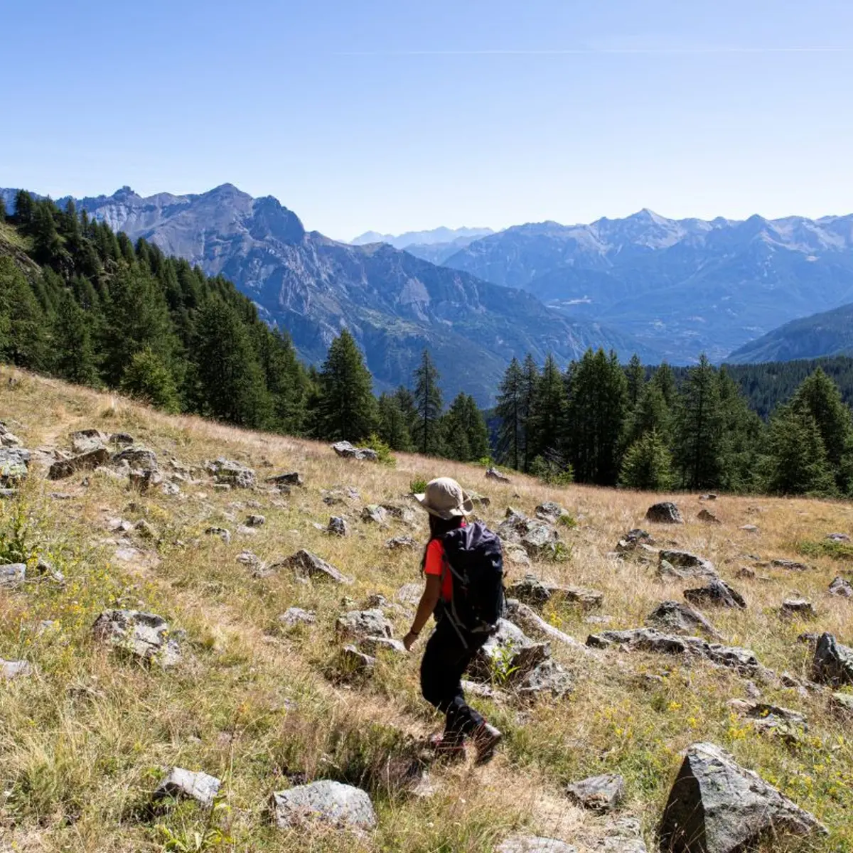 Sur les hauteurs du Vallon de Narreyroux