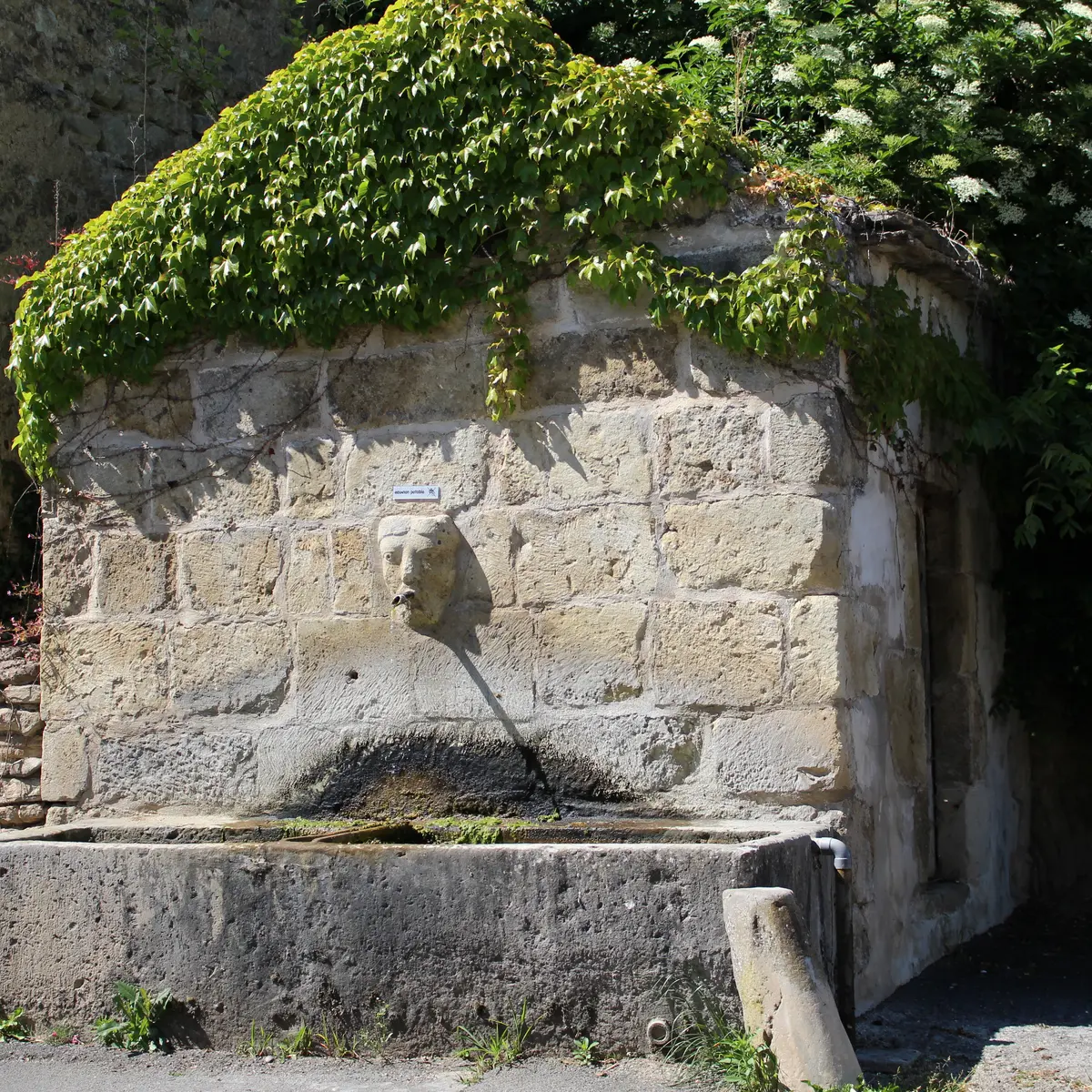 Fontaine du bourg d'Artonne
