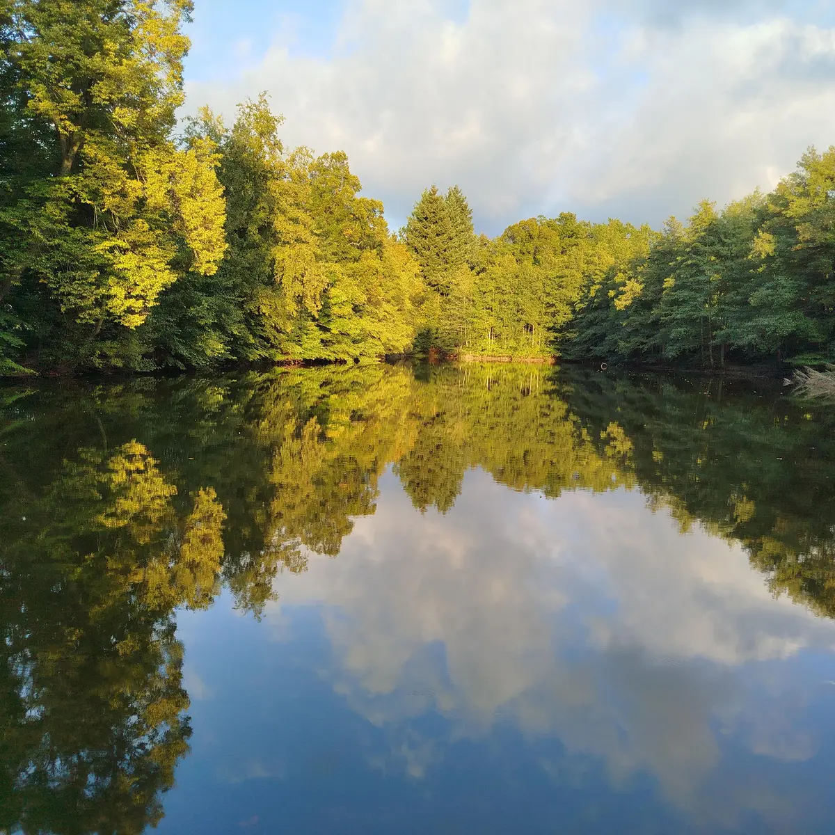 Parc de Maubourg - Etang à l'automne