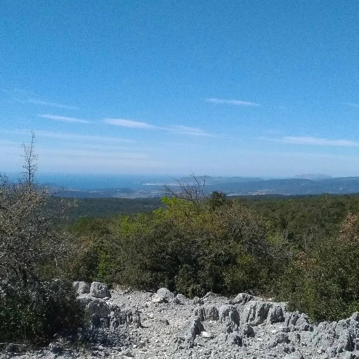 Panorama sur la baie de la Ciotat
