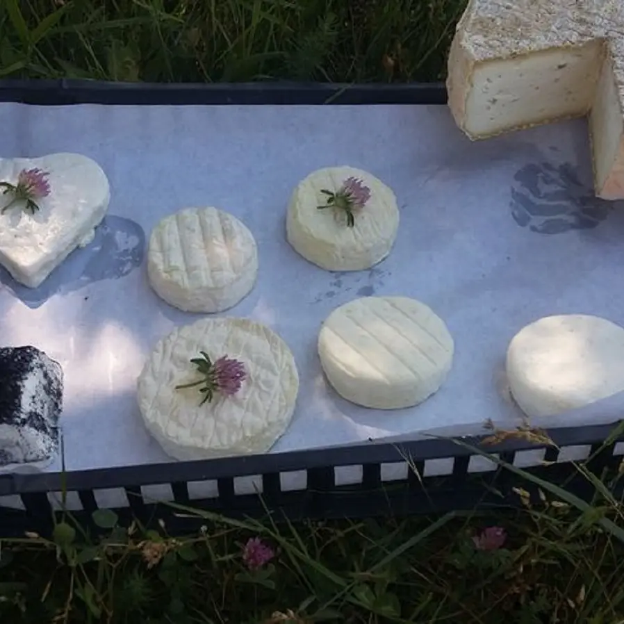 Fromages de chèvre