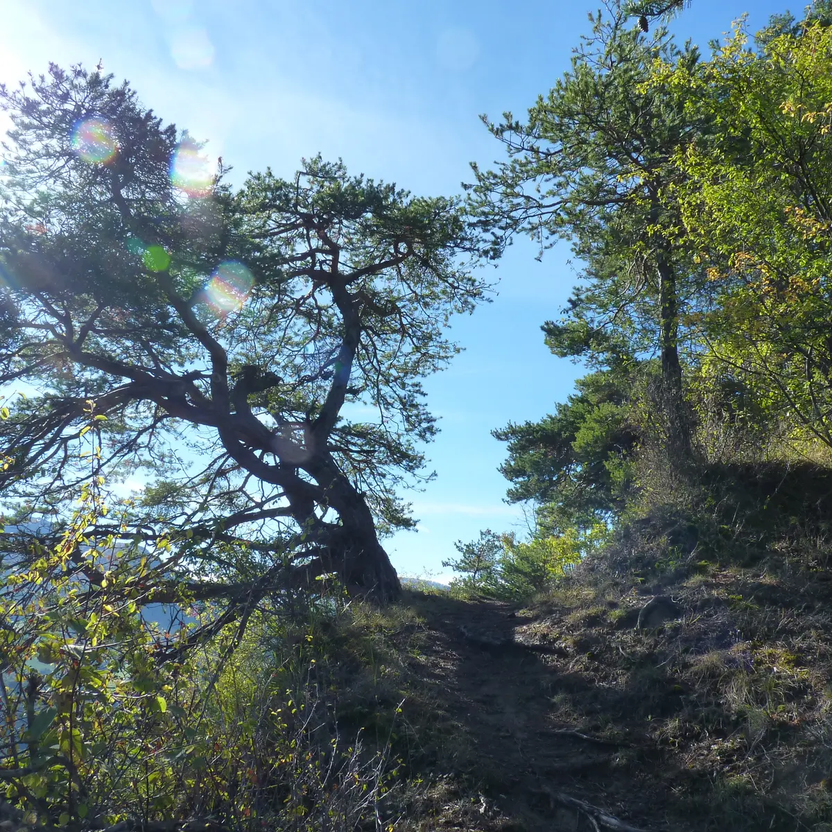 La Chapelle Saint Sixte par la Bergerie