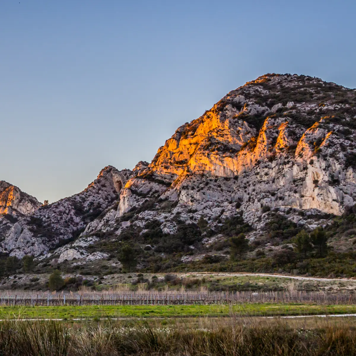 Les crêtes_Saint-Rémy-de-Provence The ridges_Saint-Rémy-de-Provence Die Kämme_Saint-Rémy-de-Provence
