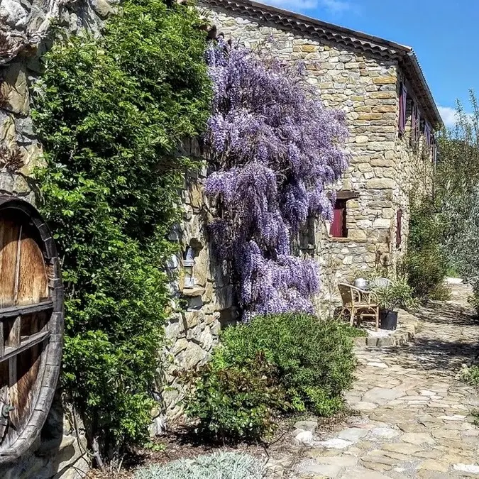 Glycine gîte Neptune