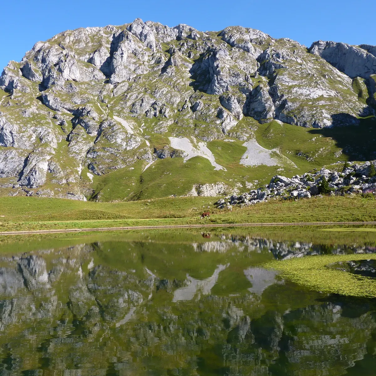 vue sur la Dent d'Oche