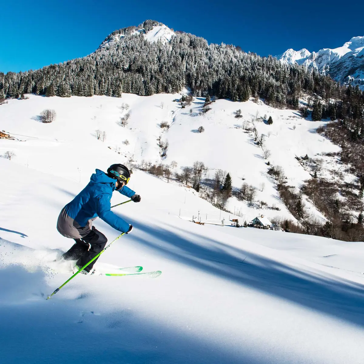 descente en ski sur poudreuse