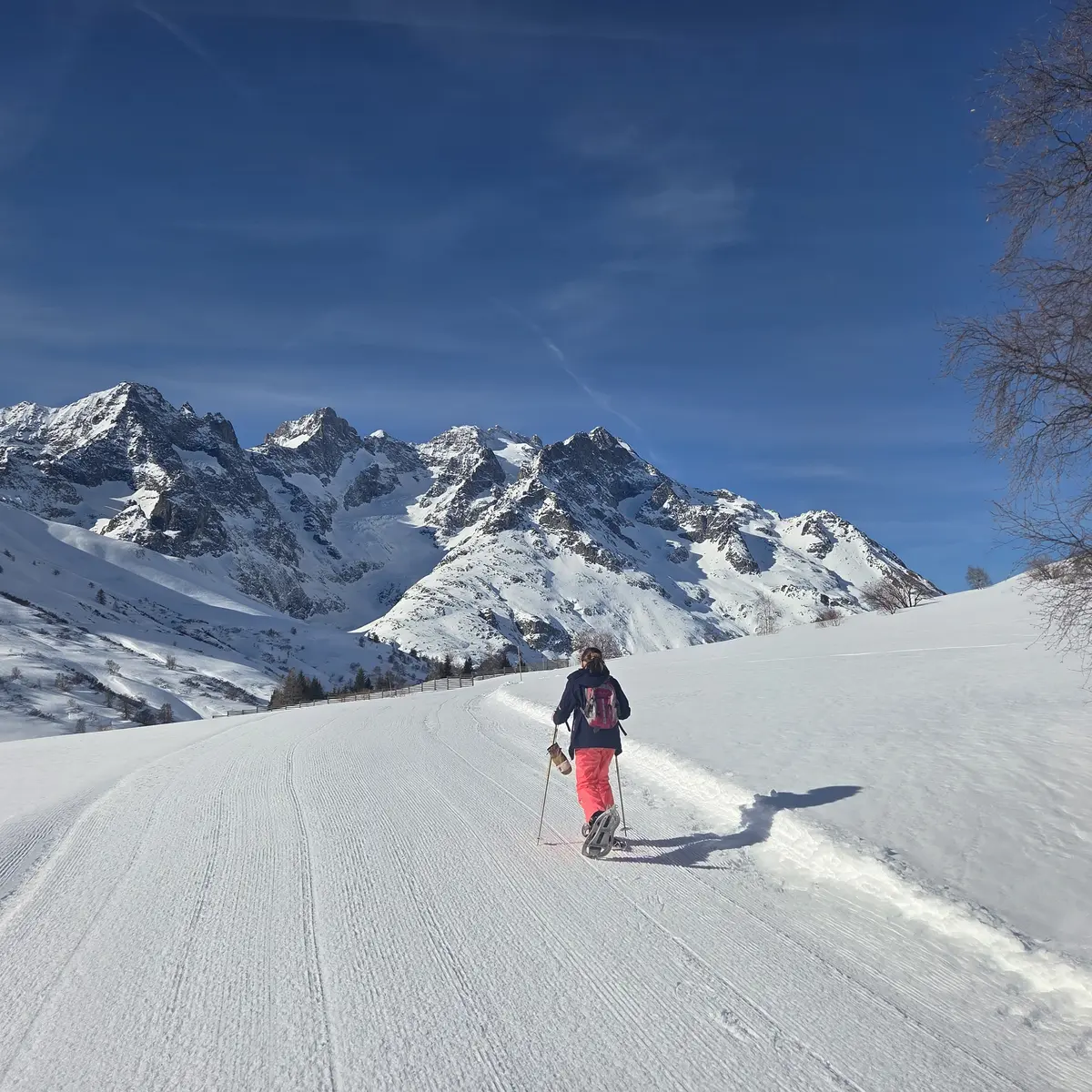 Itinéraire raquettes en famille au col du Lautaret