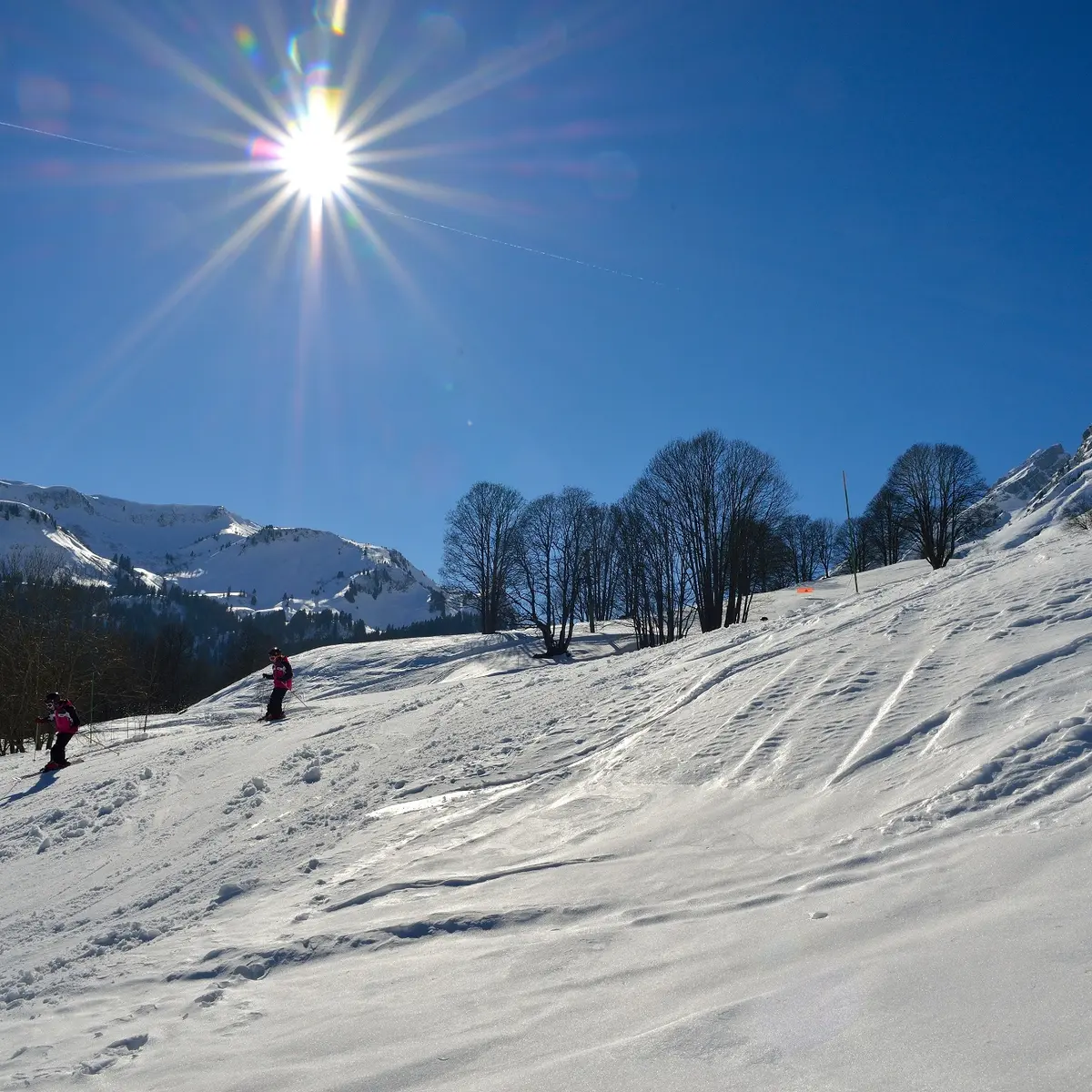 Pistes de ski Chalet neuf
