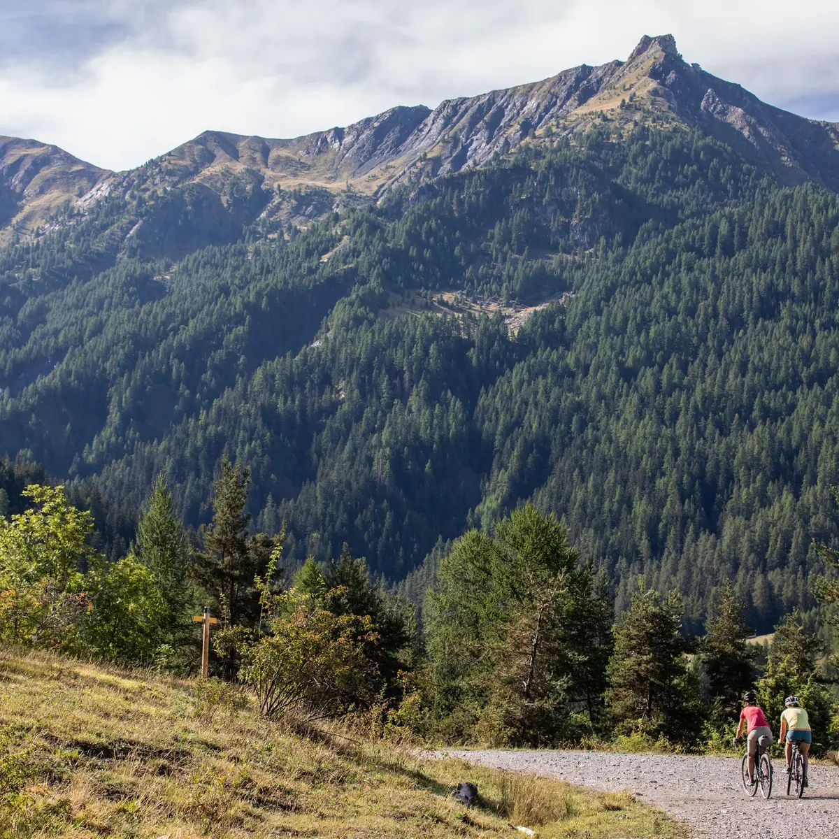 Sur les hauteurs de la Draye