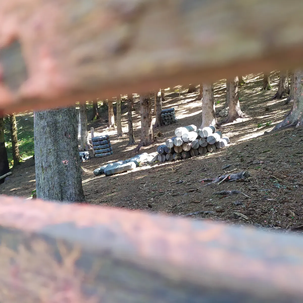 paintball