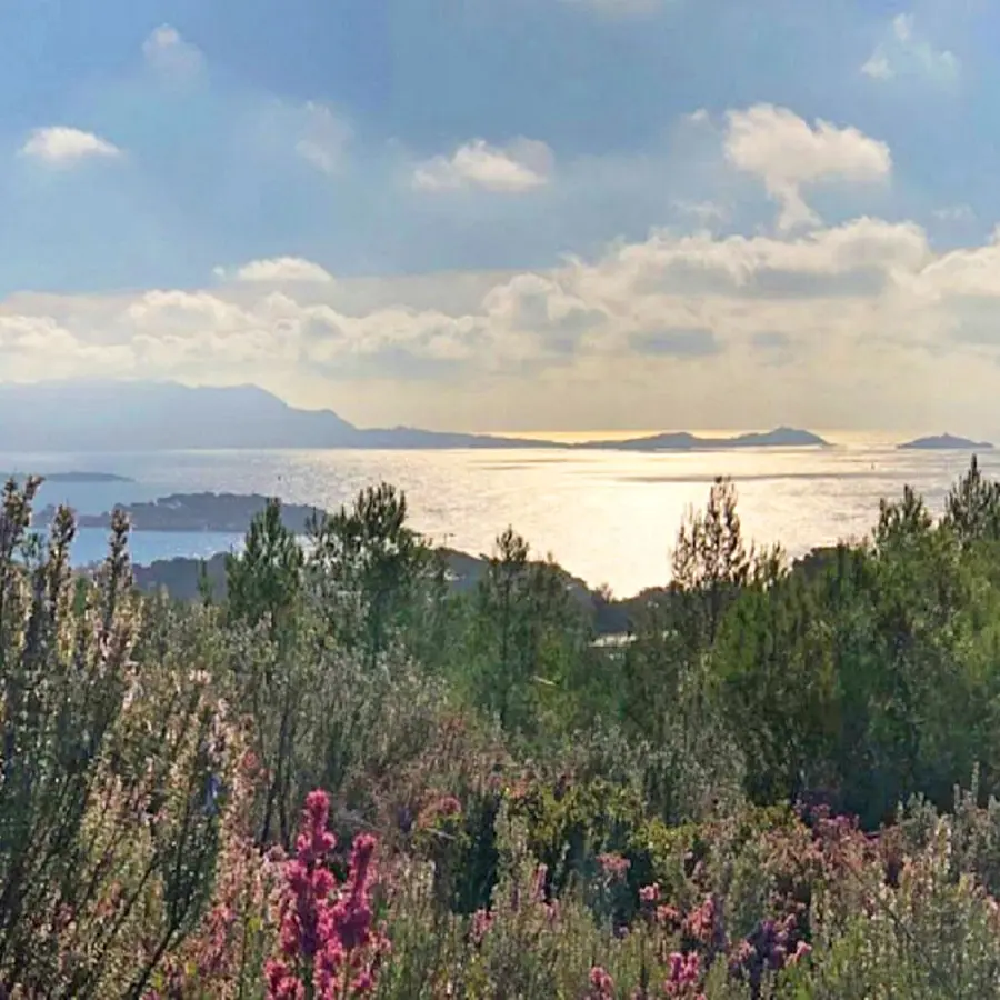 Sentier de randonnée