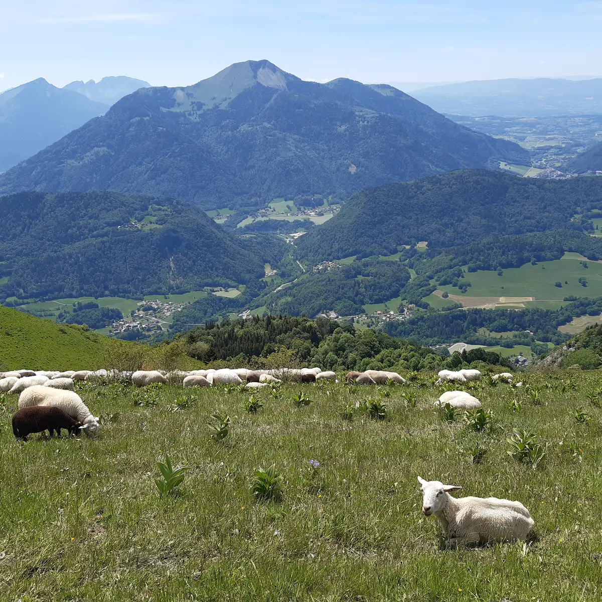 Vue sur le Môle