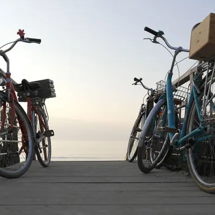 Les Cycles N - Île de Ré
