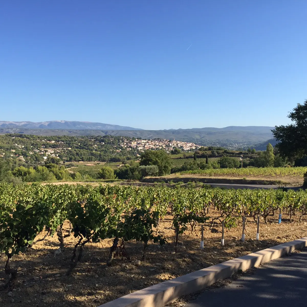 Vineyard & village view